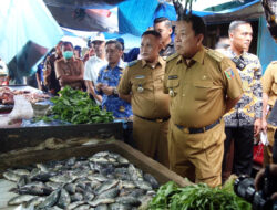 Persiapan Kunjungan Presiden RI, Bupati Lampung Selatan dan Gubernur Lampung Tinjau Pasar Natar dan Jalan Itera