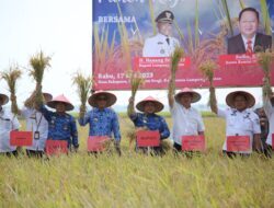 Ketua Komisi IV DPR RI Bersama Bupati Lampung Selatan Panen Raya Padi dan Bagi-bagi Bantuan di Sragi