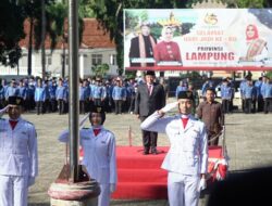 Tenaga Honorer Pemkab Lampung Selatan Dapat THR Tahun Ini