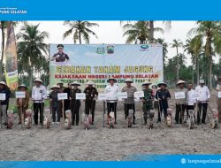 Bupati Lampung Selatan & Kajati Turun ke Ladang! Kolaborasi Hebat Demi Ketahanan Pangan dan Nasib Petani