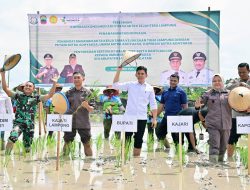Kejati dan Pemkab Lampung Selatan Resmikan Koperasi hingga Tanam Padi Biosalin di Pesisir Sragi