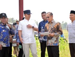 Sinergi Pusat dan Daerah Menguat, Dirjen Kemdiktisaintek Tinjau Calon Lokasi SMA Unggul Garuda di Lampung Selatan